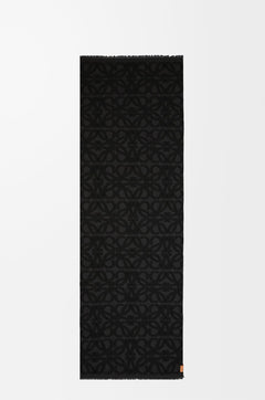 وشاح من الصوف والحرير من LOEWE | وشاح من LOEWE (متعدد الألوان)