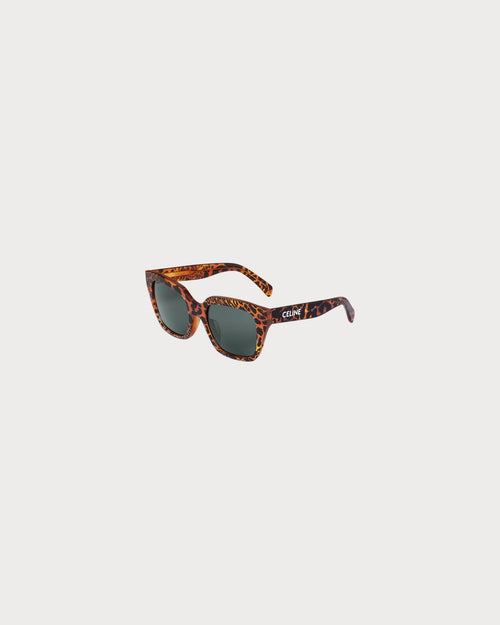 CELINE Monochroms 03 Sunglasses Acetate(Havana)