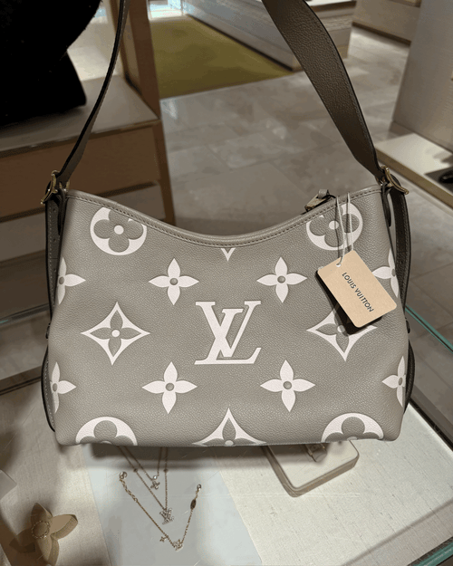 حقيبة لويس فيتون M47180 CarryAll PM | حقيبة لويس فيتون (رمادية)