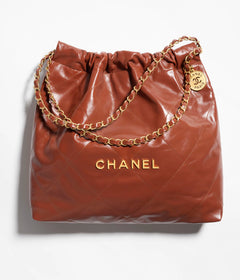 CHANEL AS3261 22 Medium Handbag | Chanel Handbag (Multi-color)