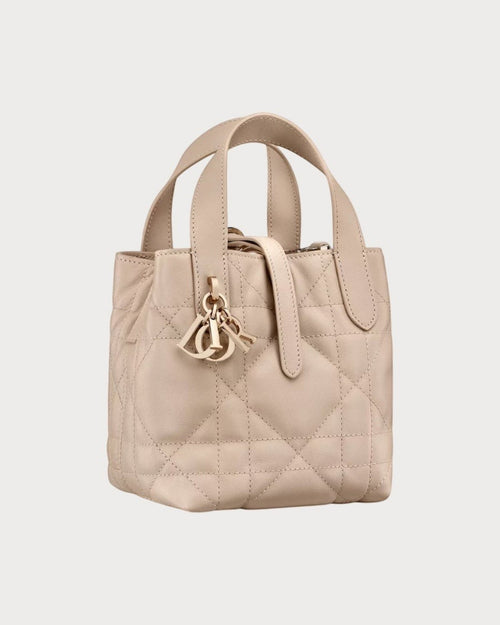 CHRISTIAN DIOR Dior Toujours Vertical Tote Bag Calfskin(Nano/4 Colors)