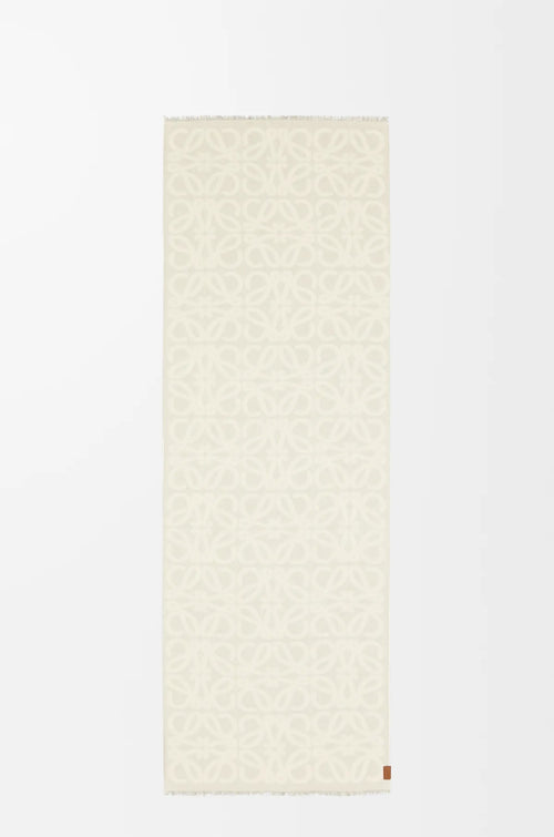 وشاح من الصوف والحرير من LOEWE | وشاح من LOEWE (متعدد الألوان)