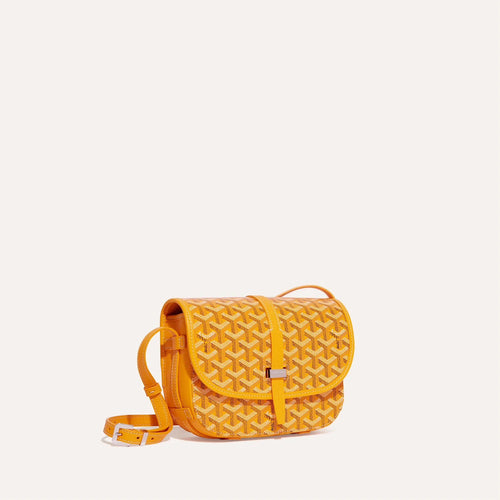 حقيبة GOYARD Belvedere PM | حقيبة Goya Messenger (صغيرة/متعددة الألوان) 